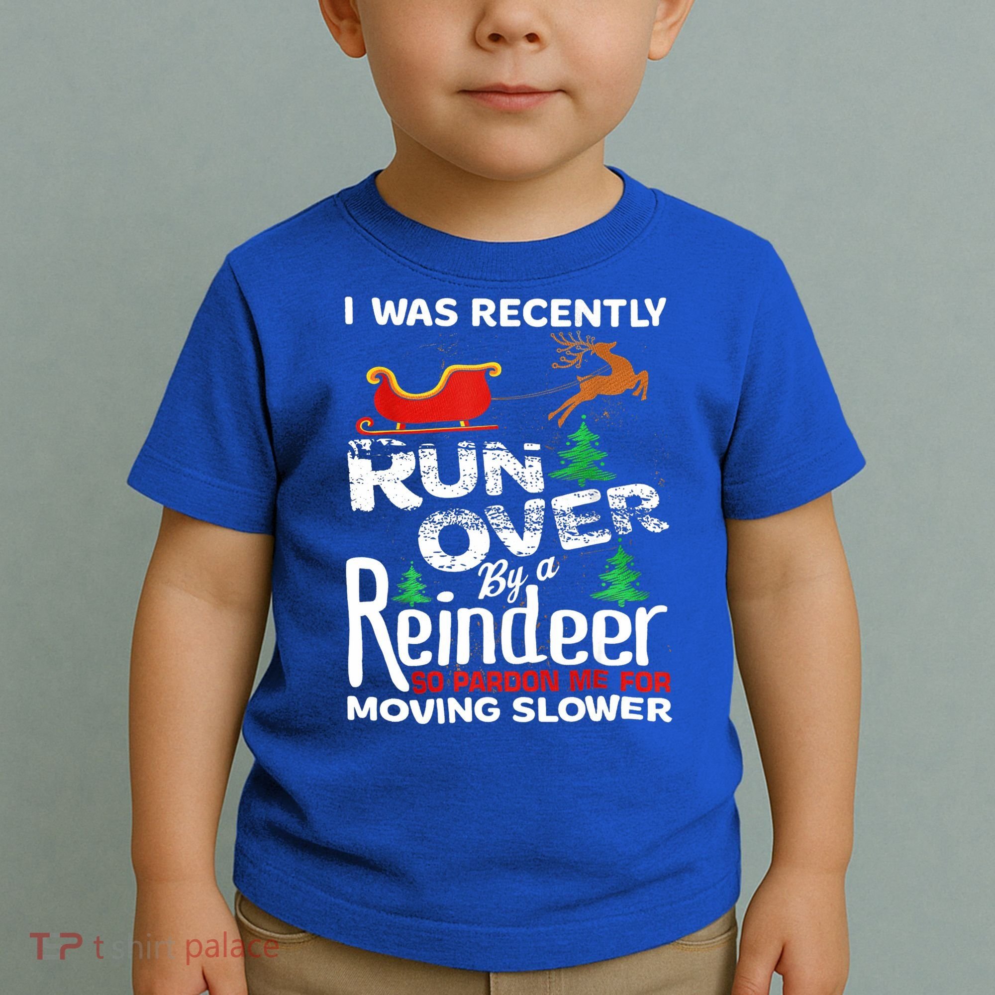 Grandma Got Run Over By A Reindeer Christmas So Pardon Me Gift Toddler T-Shirt