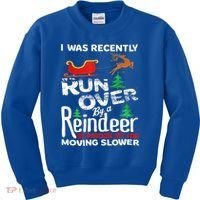 Grandma Got Run Over By A Reindeer Christmas So Pardon Me Gift Kids Sweatshirt thumb 0