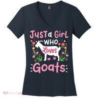 Goats Goat Rancher Farm Women's V-Neck T-Shirt thumb 0