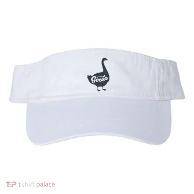 Visor