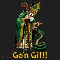 GoN Git St Patricks Day Funny St Patrick Hat thumb 2