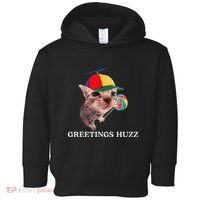 Greetings Huzz Funny Gen Z Gen Alpha Slang Silly Cat Meme Toddler Hoodie thumb 0