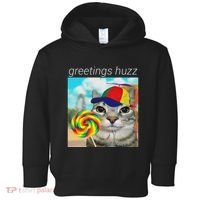 Greetings Huzz Funny Gen Z Gen Alpha Slang Meme Gift Toddler Hoodie thumb 0