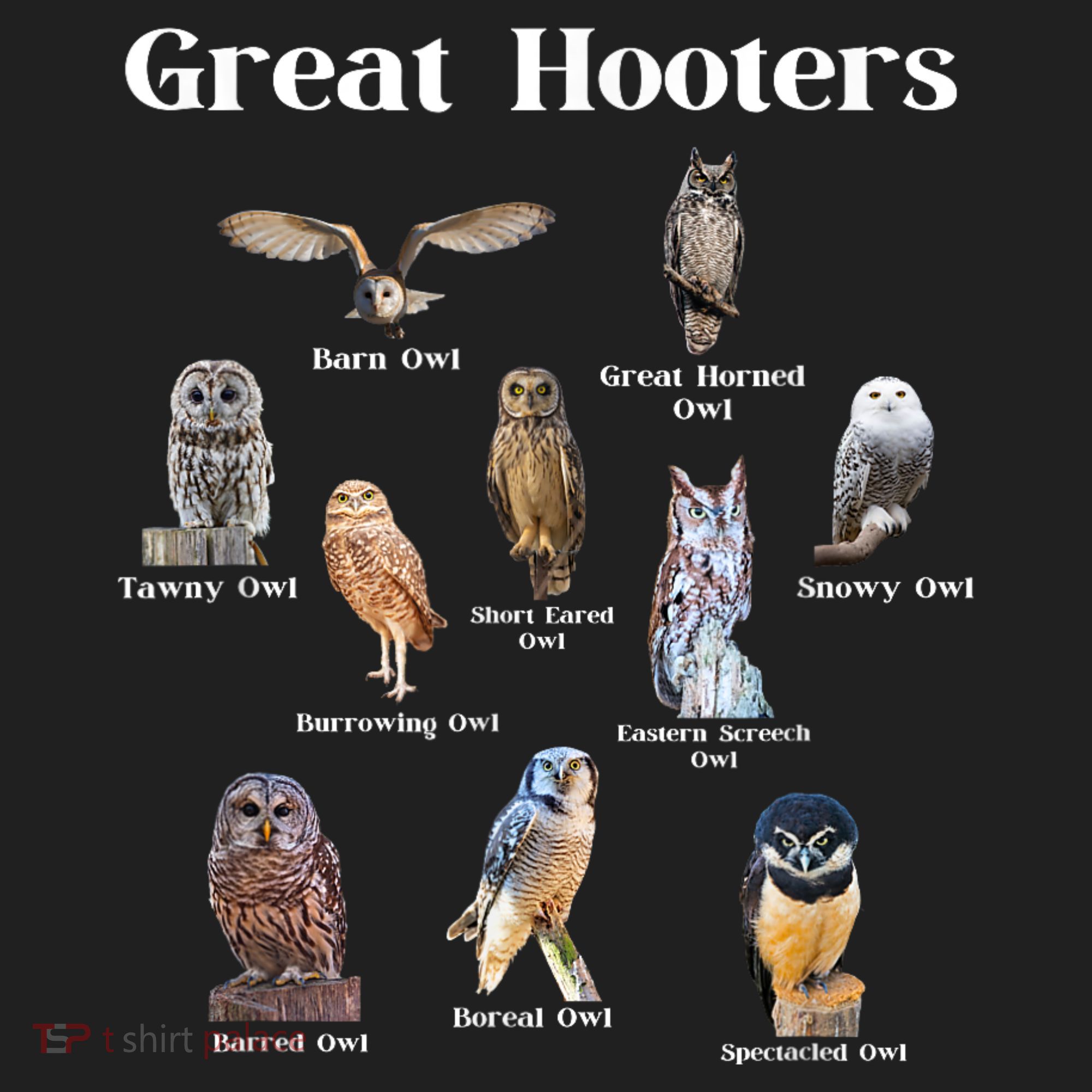 Great Hooter Funny Owl Lover Birding Birdwatcher Dad Joke Tumbler