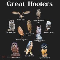 Great Hooter Funny Owl Lover Birding Birdwatcher Dad Joke Golf Towel thumb 3