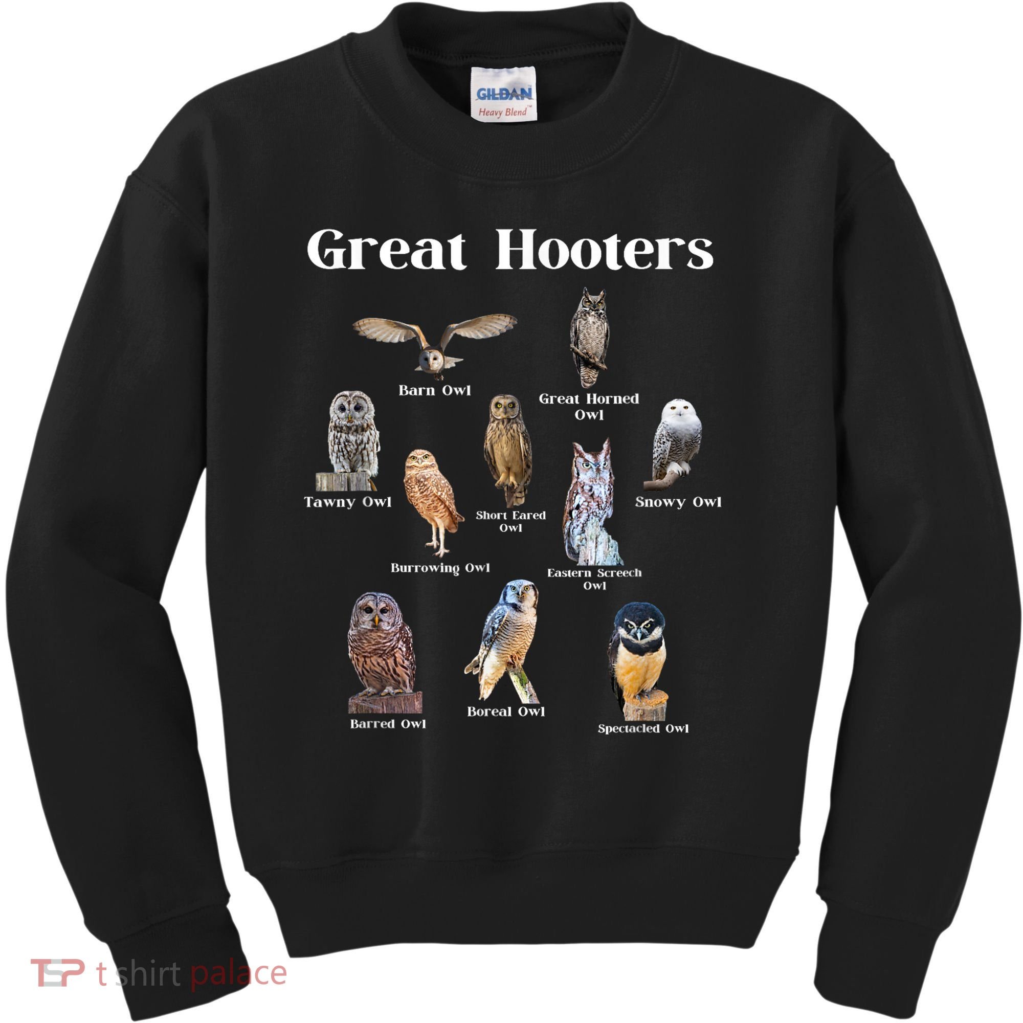Great Hooter Funny Owl Lover Birding Birdwatcher Dad Joke Kids Sweatshirt