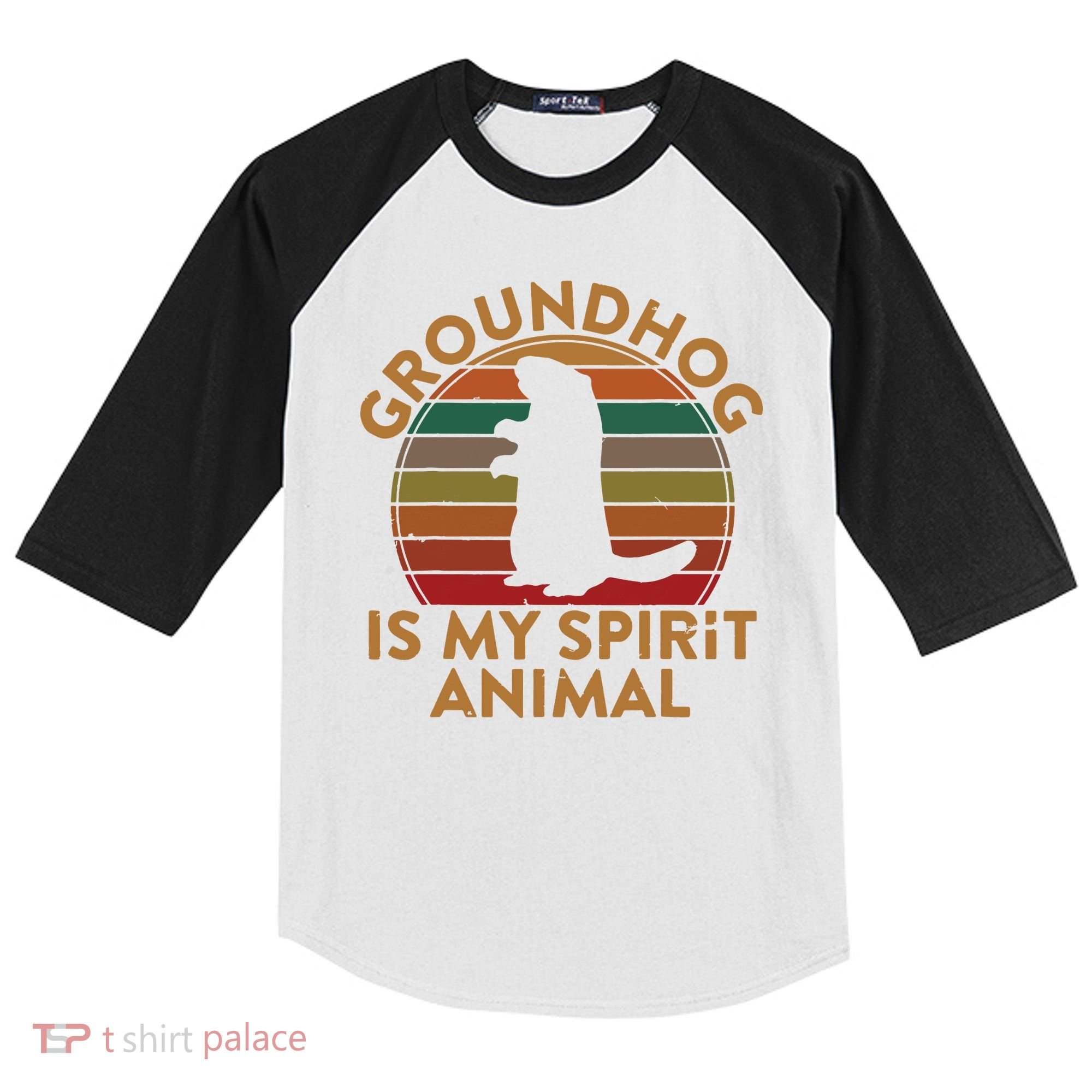 Ground Hog Is My Spirit Animal Gift Silhouette Groundhog Day Kids Colorblock Raglan Jersey