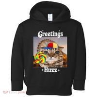 Greetings Huzz Meme Funny Cat Lollipop Toddler Hoodie thumb 0
