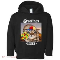Greetings Huzz Meme Funny Cat Lollipop Toddler Hoodie thumb 0