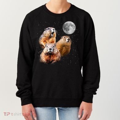 Groundhog Head Moon Funny Groundhog Day Women's Sweatshirt