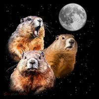 Groundhog Head Moon Funny Groundhog Day Coffee Mug thumb 5