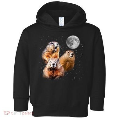 Groundhog Head Moon Funny Groundhog Day Toddler Hoodie