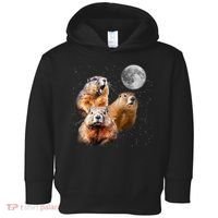 Groundhog Head Moon Funny Groundhog Day Toddler Hoodie thumb 0