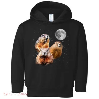 Toddler Hoodie