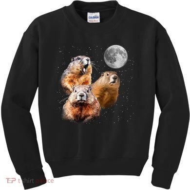 Groundhog Head Moon Funny Groundhog Day Kids Sweatshirt