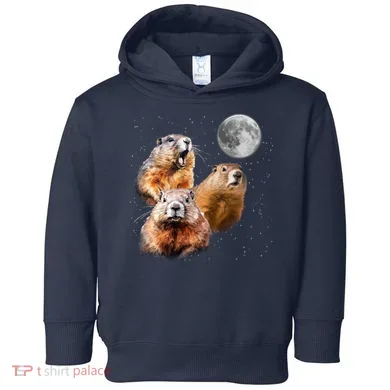 Toddler Hoodie