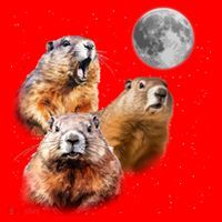Groundhog Head Moon Funny Groundhog Day Santa Hat thumb 1