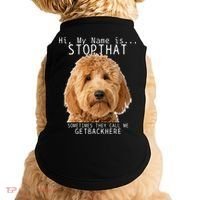 Goldendoodle Hi My Name Is Stop That Funny Dog Doodle Mom Doggie Tank thumb 0