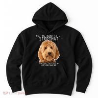 Goldendoodle Hi My Name Is Stop That Funny Dog Doodle Mom Hoodie thumb 0