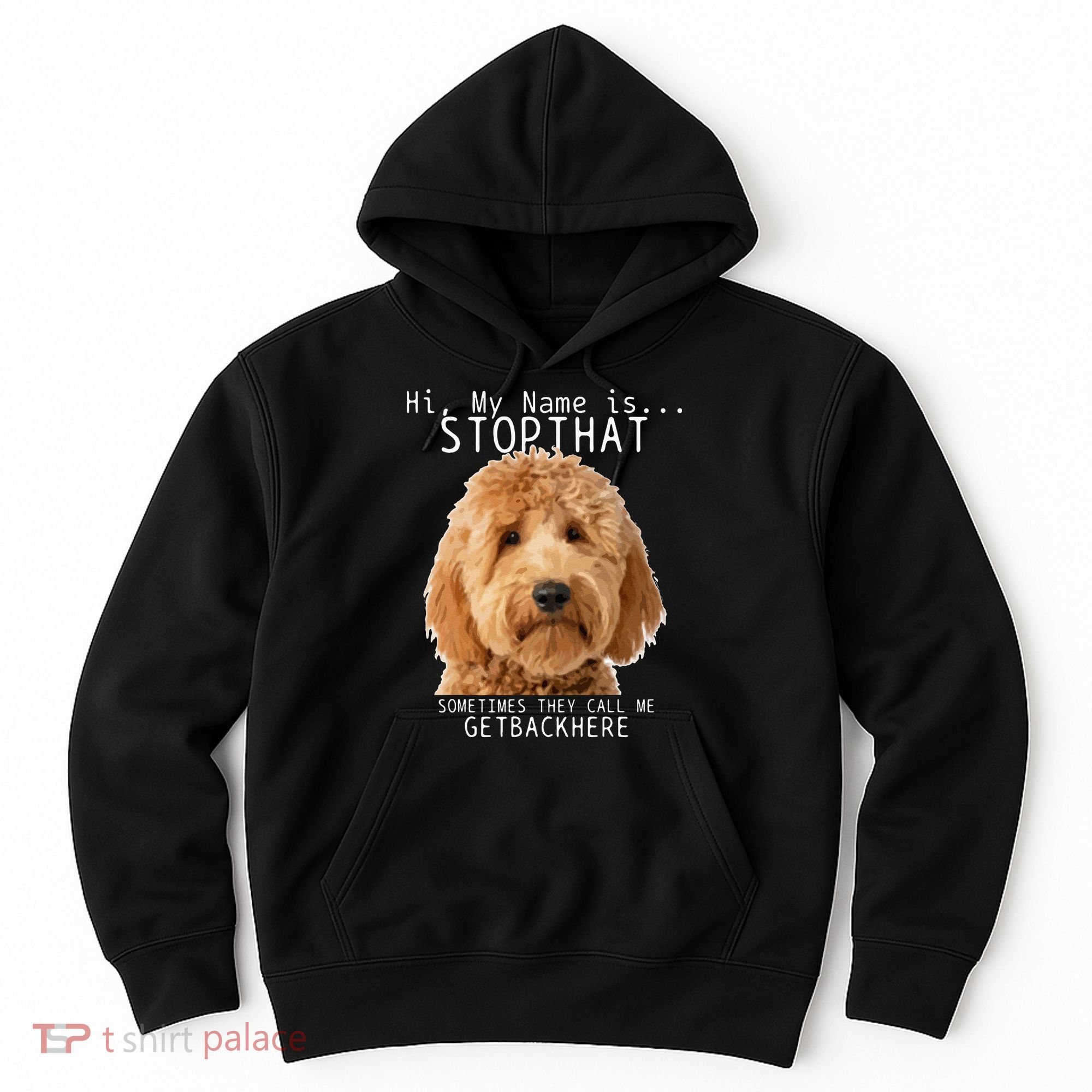 Goldendoodle Hi My Name Is Stop That Funny Dog Doodle Mom Hoodie