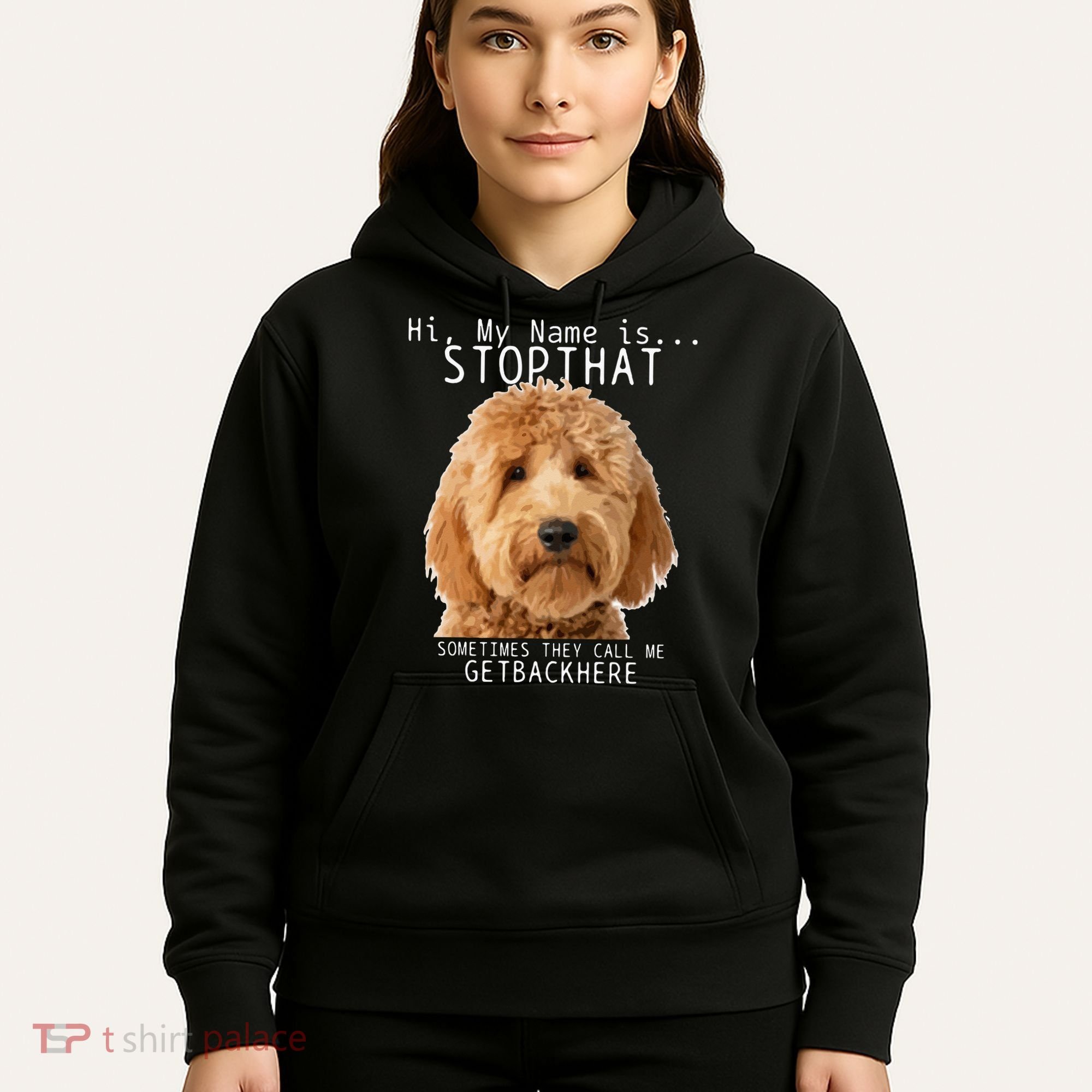 Goldendoodle Hi My Name Is Stop That Funny Dog Doodle Mom Hoodie