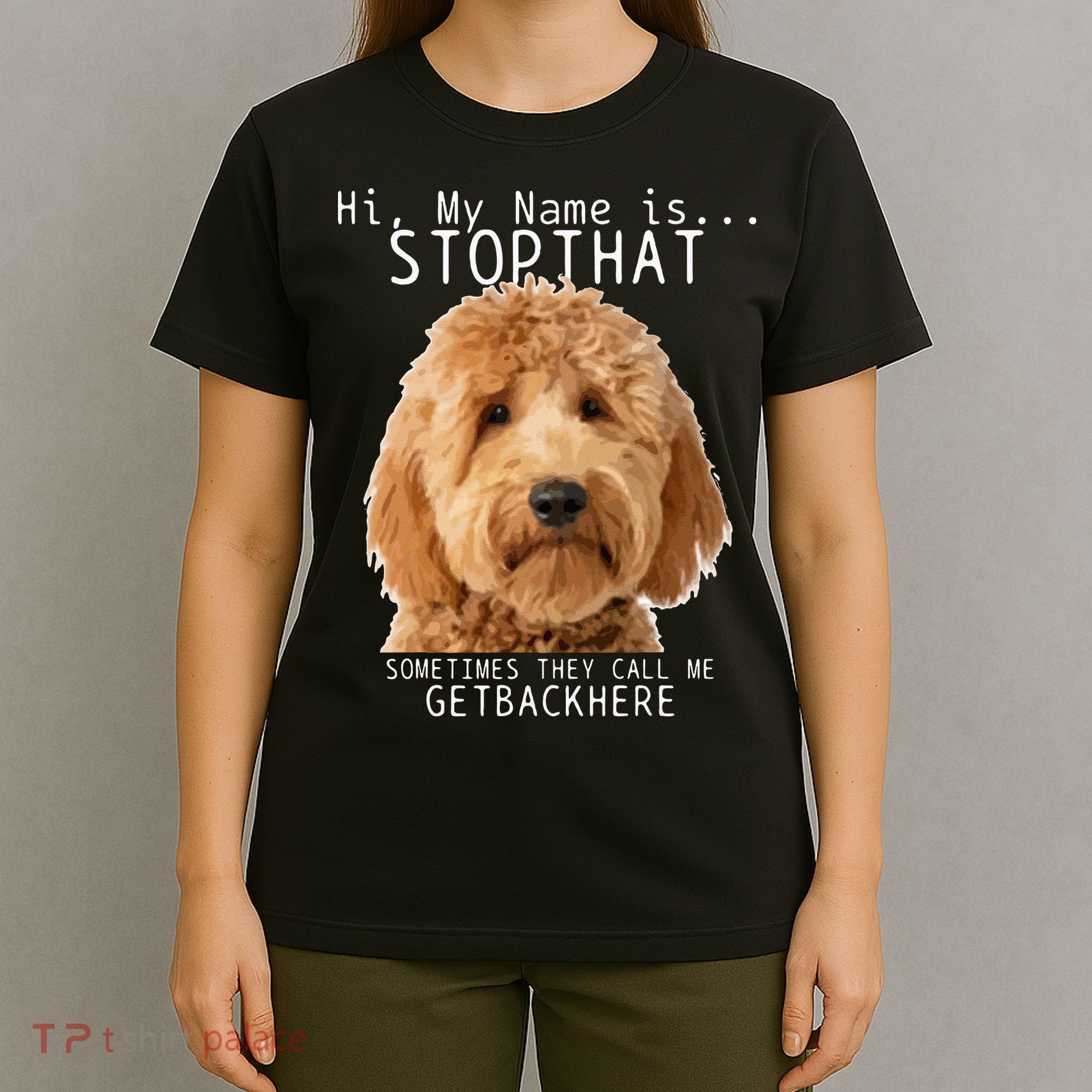 Goldendoodle Hi My Name Is Stop That Funny Dog Doodle Mom T-Shirt