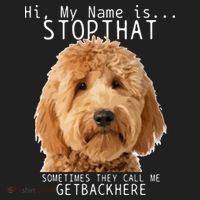 Goldendoodle Hi My Name Is Stop That Funny Dog Doodle Mom Beanie thumb 2