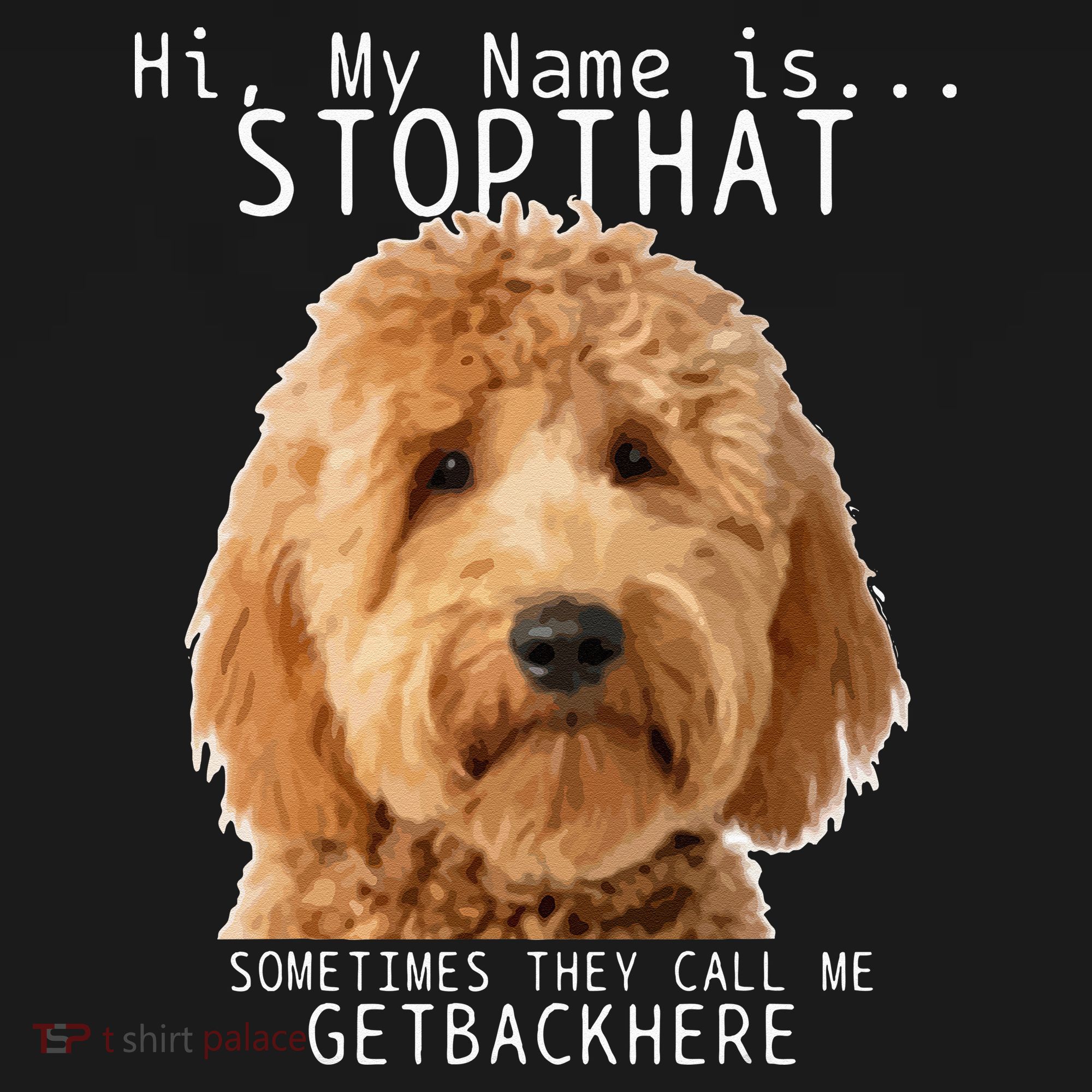 Goldendoodle Hi My Name Is Stop That Funny Dog Doodle Mom Women's Hoodie