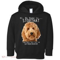 Goldendoodle Hi My Name Is Stop That Funny Dog Doodle Mom Toddler Hoodie thumb 0