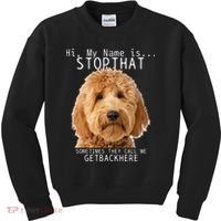 Goldendoodle Hi My Name Is Stop That Funny Dog Doodle Mom Kids Sweatshirt thumb 0