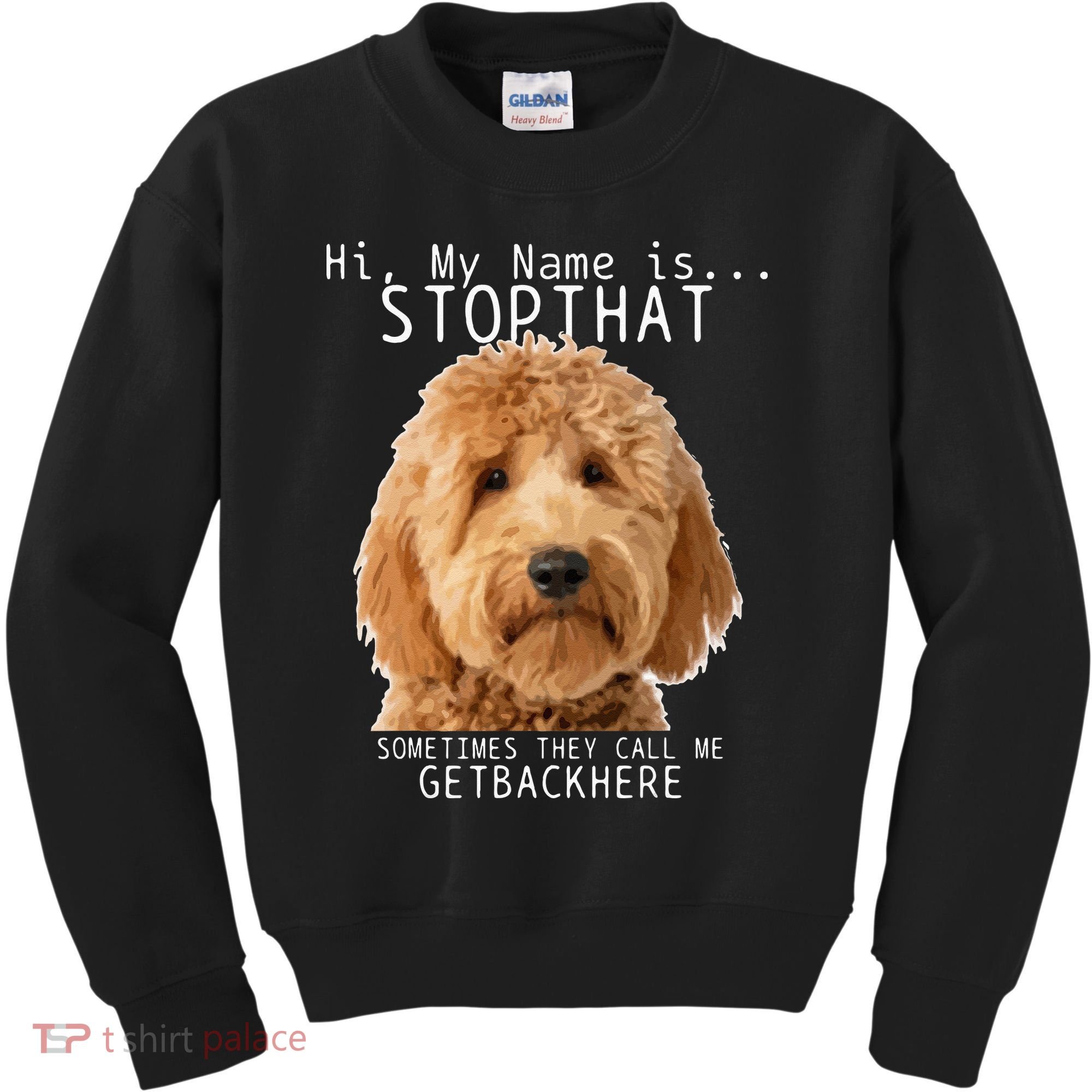 Goldendoodle Hi My Name Is Stop That Funny Dog Doodle Mom Kids Sweatshirt