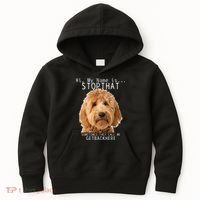 Goldendoodle Hi My Name Is Stop That Funny Dog Doodle Mom Kids Hoodie thumb 0