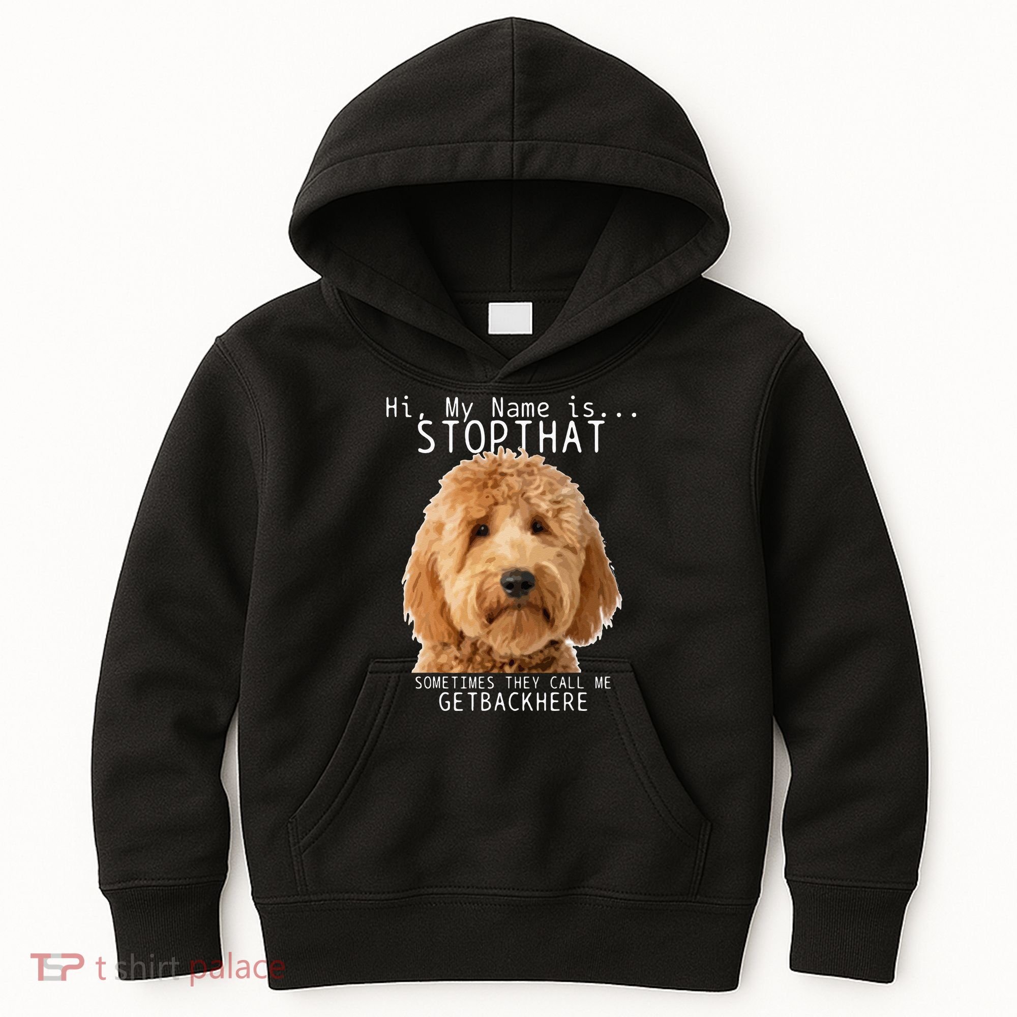 Goldendoodle Hi My Name Is Stop That Funny Dog Doodle Mom Kids Hoodie