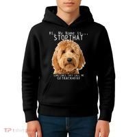 Goldendoodle Hi My Name Is Stop That Funny Dog Doodle Mom Kids Hoodie thumb 4