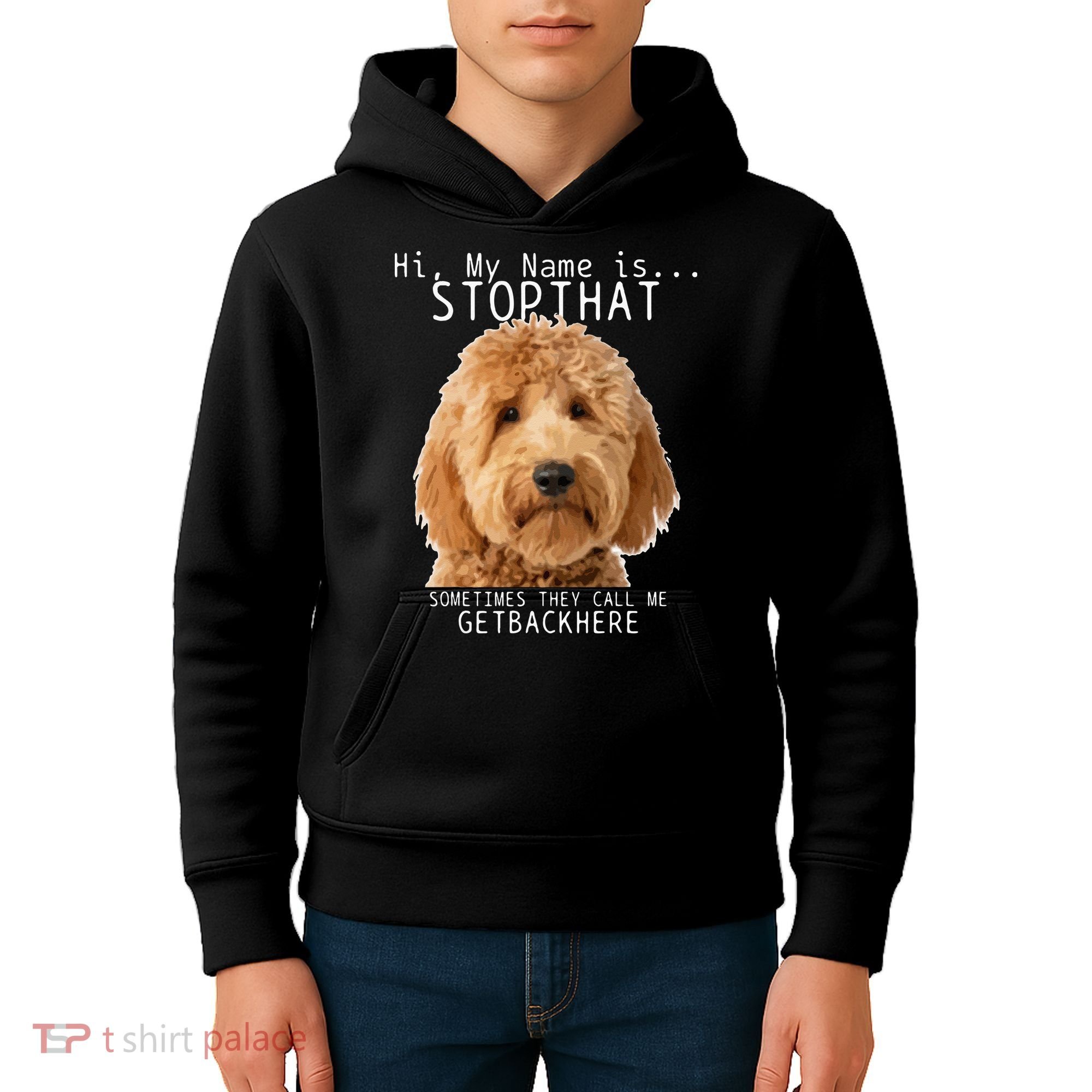 Goldendoodle Hi My Name Is Stop That Funny Dog Doodle Mom Kids Hoodie
