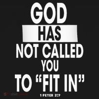 God Has Not Called You To FitIn 1 Peter 2 9 Women's Hoodie thumb 2