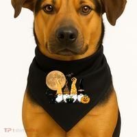 Gnome Halloween Squad Festive USA-Made Doggie Bandana thumb 1