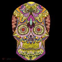 Giant Sugar Floral Sugar Skull Toddler Hoodie thumb 2