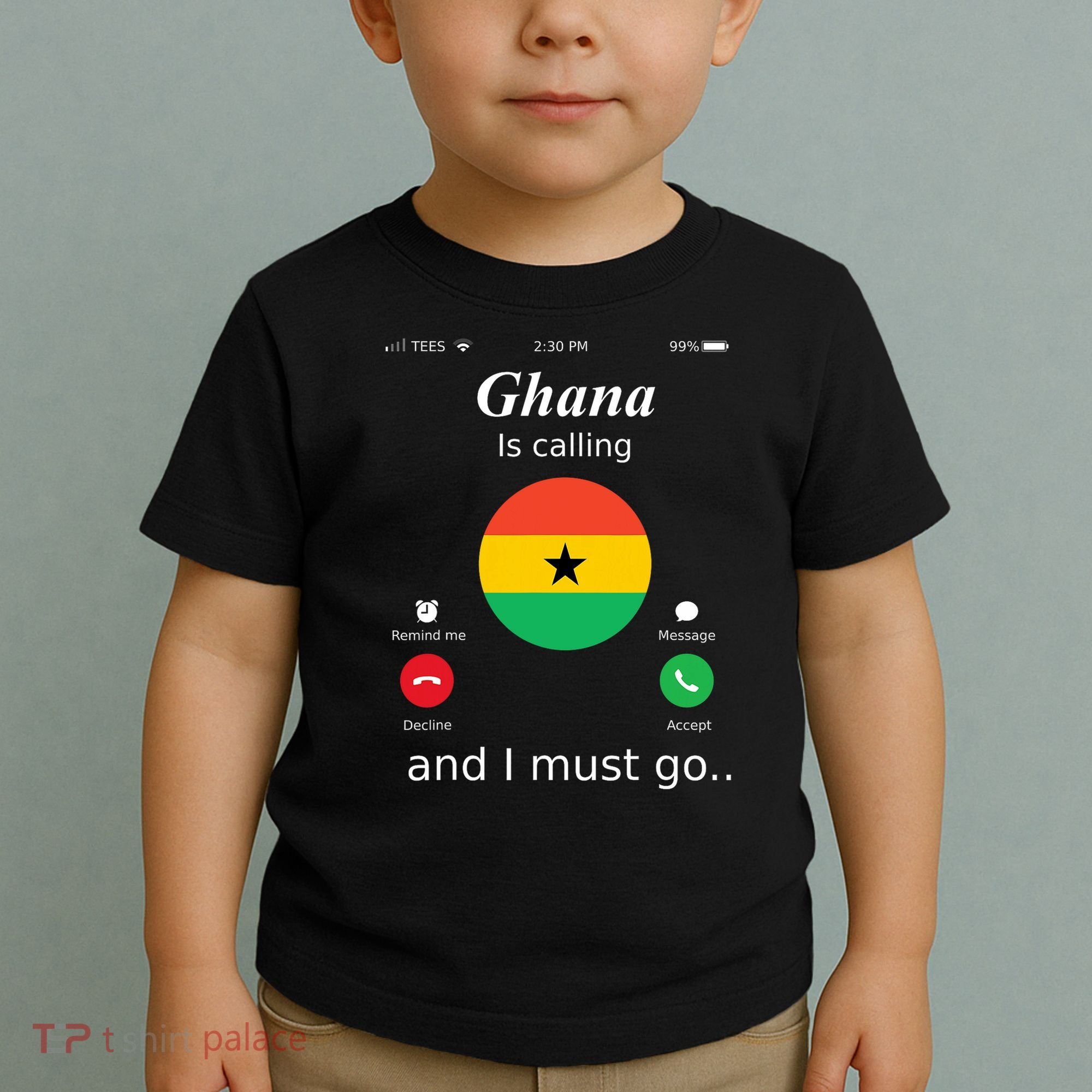 Ghana Is Calling And I Must Go Ghana Flag Toddler T-Shirt