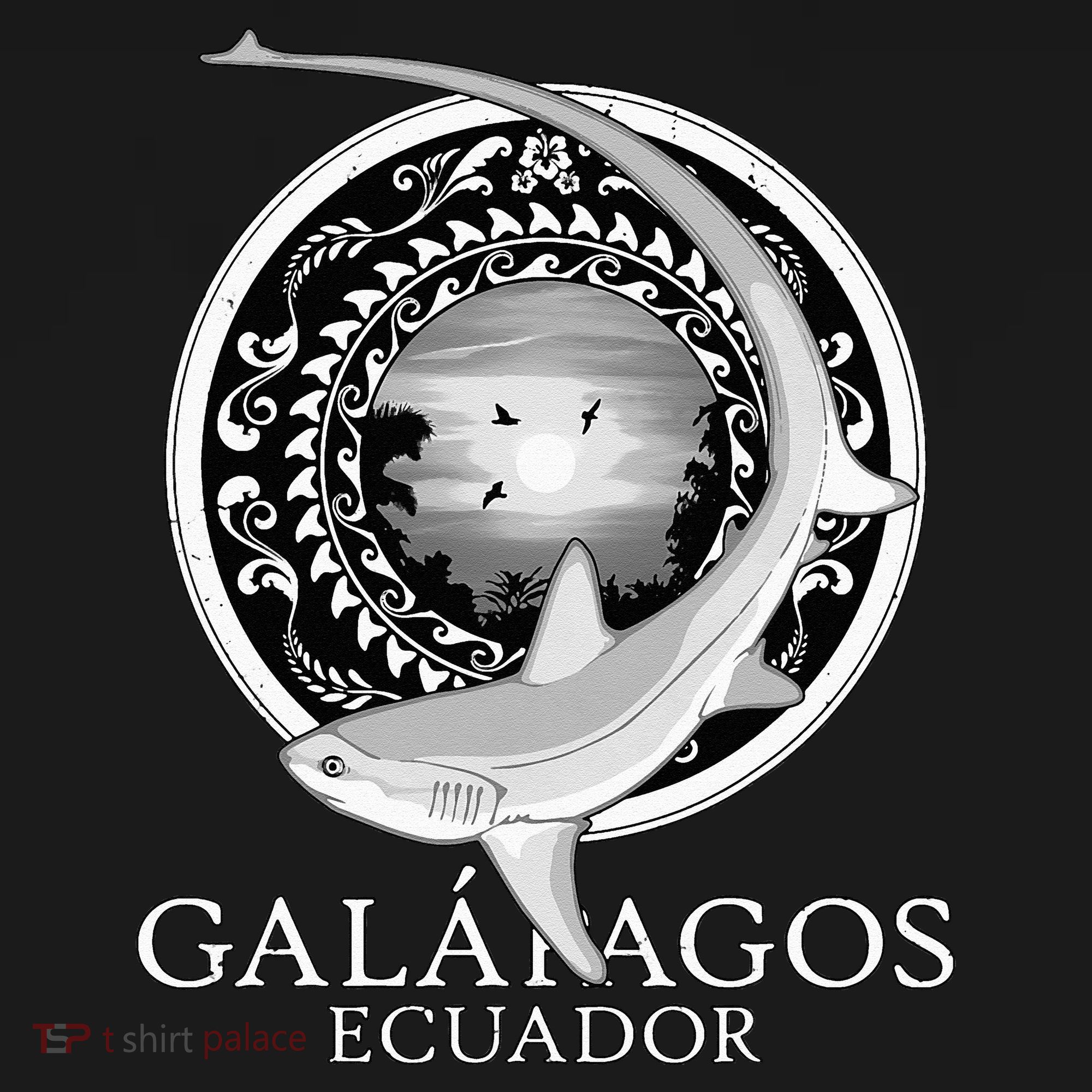Galapagos Islands Ecuador Thresher Shark Doggie Tank