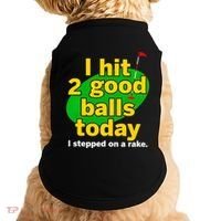 Golf I Hit 2 Good Balls Today I Stepped On A Rake Doggie Tank thumb 0