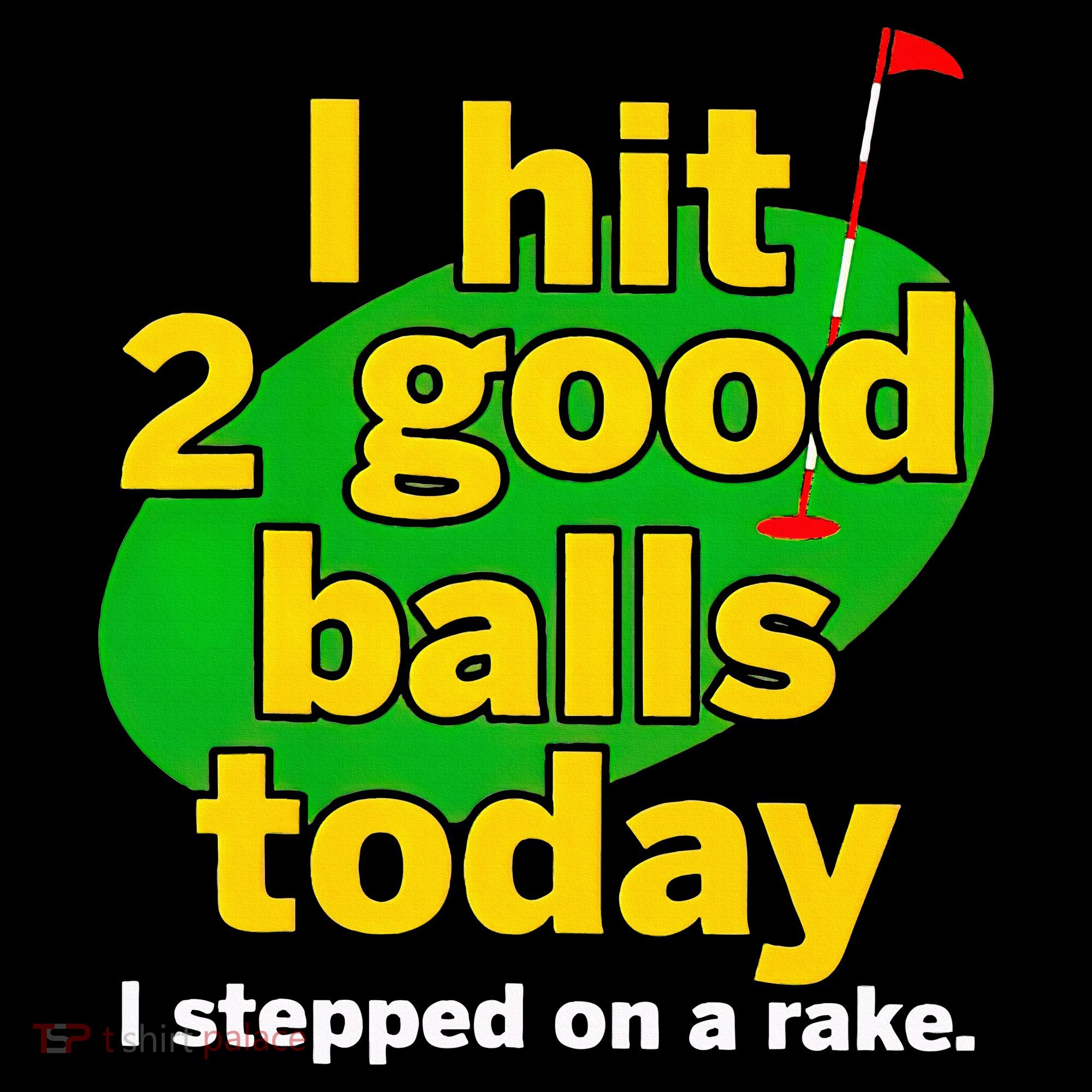 Golf I Hit 2 Good Balls Today I Stepped On A Rake T-Shirt