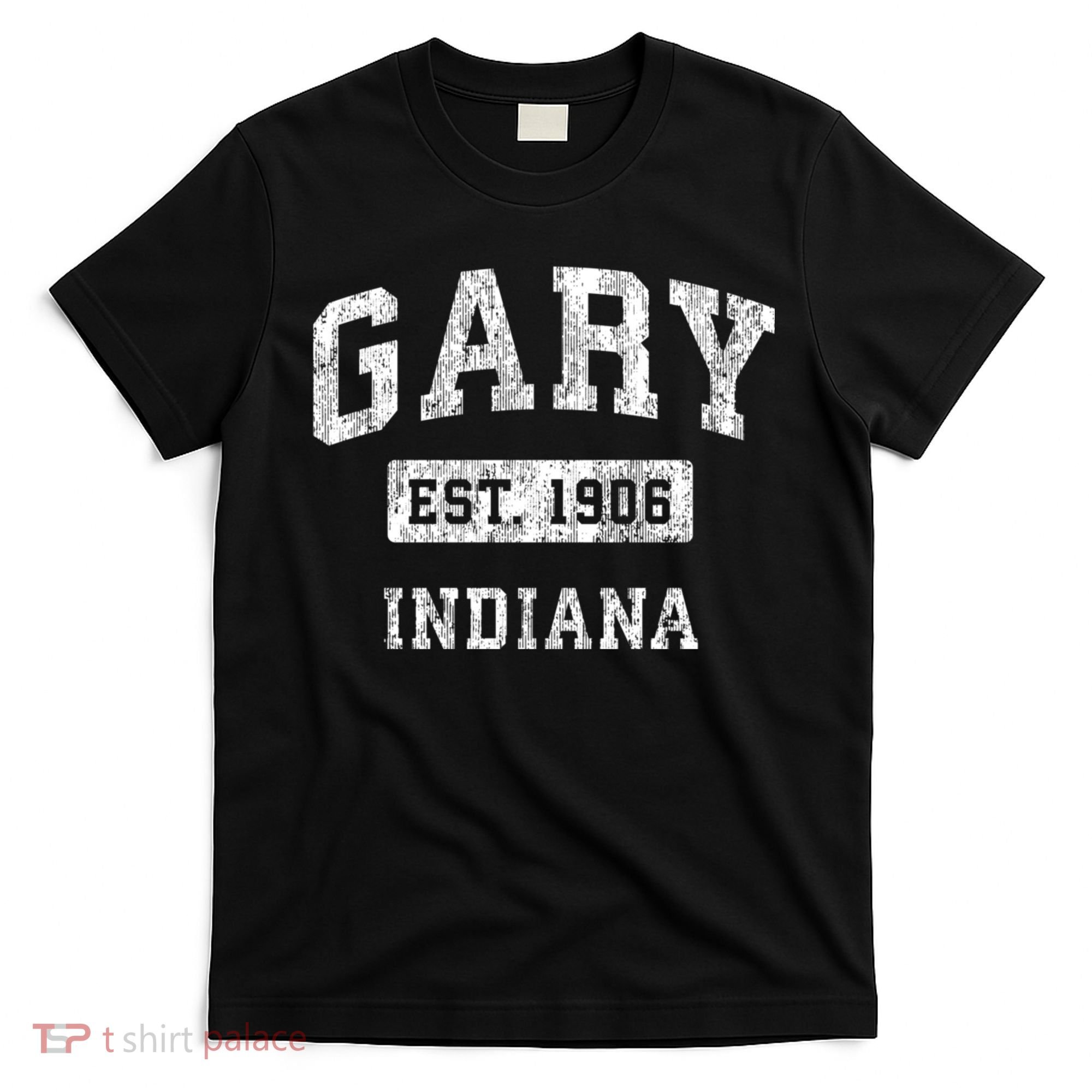 Gary Indiana In Vintage Established Sports T-Shirt