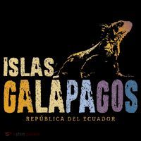 Galapagos Islands Islas Galapagos Iguana Ecuador Women's Hoodie thumb 2
