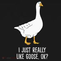 Goose I Just Really Like Goose Birds Ornament thumb 1