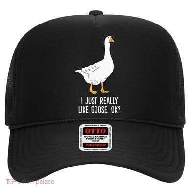 Goose I Just Really Like Goose Birds Hat