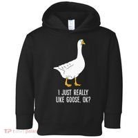 Goose I Just Really Like Goose Birds Toddler Hoodie thumb 0