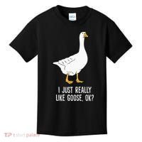 Goose I Just Really Like Goose Birds Kids T-Shirt thumb 0