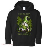 Gnome I Like Big Buds And I Cannot Lie Weed 420 Stoner Idea Toddler Hoodie thumb 0