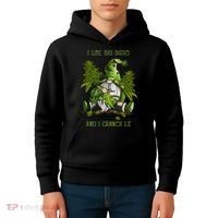 Gnome I Like Big Buds And I Cannot Lie Weed 420 Stoner Idea Kids Hoodie thumb 4